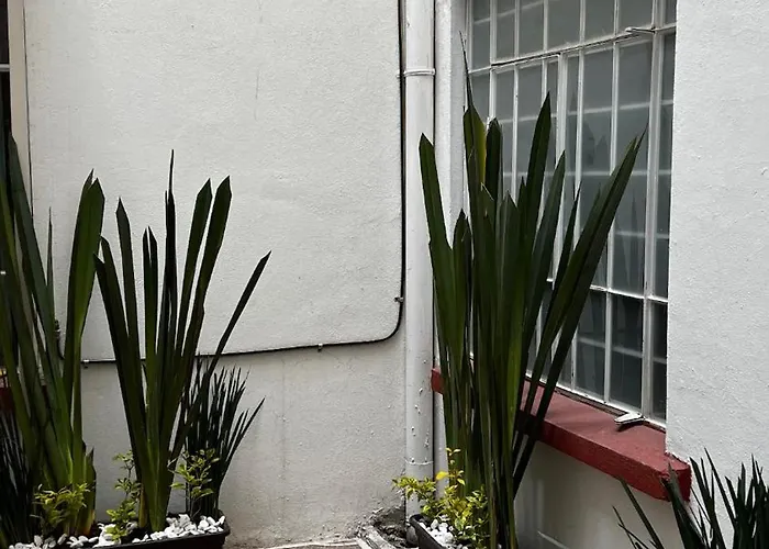 Centrally Located And Cozy In Cdmx Apartment Mexico City